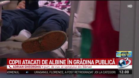 Copii atacaţi de albine &icirc;n grădina publică din B&acirc;rlad