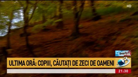 Trei copii, rătăciți &icirc;n pădure. Sunt căutați de zeci de oameni