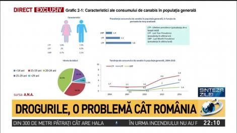 Drogurile, o problemă c&acirc;t Rom&acirc;nia. Care este v&acirc;rsta de debut a consumului de cannabis la noi &icirc;n țară