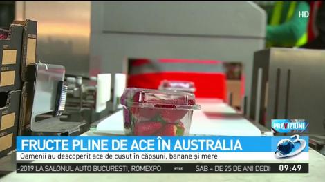 Fructe pline de ace de cusut în Australia