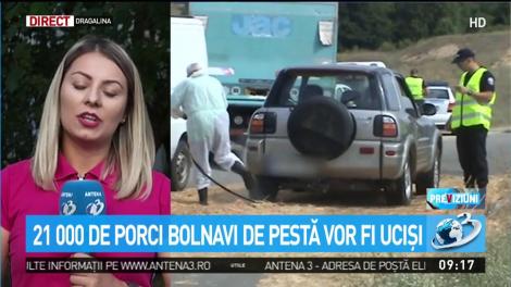 &Icirc;ncepe masacrul porcilor din Dragalina