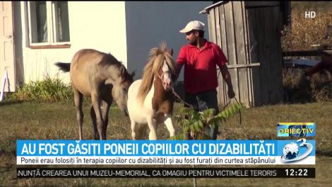 Au fost găsiţi poneii furaţi care erau folosiţi &icirc;n terapia unor copii cu dizabilităţi