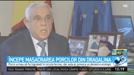 Imagini exclusive cu groapa comună din Dragalina