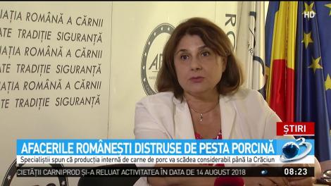 Afacerile rom&acirc;neşti distruse de pesta porcină