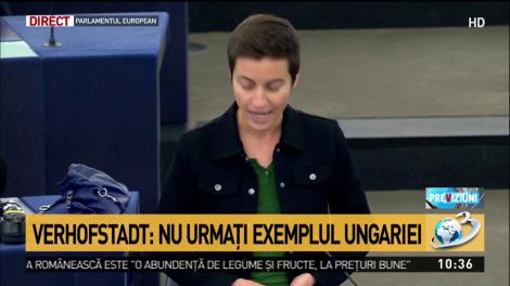 Ska Keller: Guvernul vostru vă permite unor condamnați să fure bani