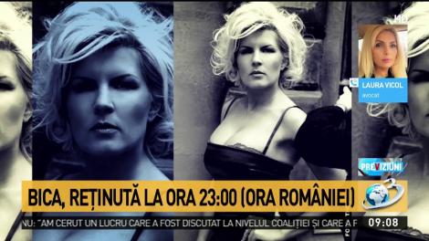 Laura Vicol, avocat: Salvarea Elenei Udrea ar putea fi chiar copilul nou-născut
