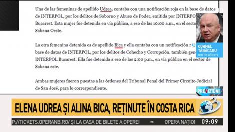 Exclusiv! Reacţia lui Cornel Tăbăcaru despre situaţia Elenei Udrea