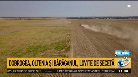 Avertisment dur de la meteorologi pentru fermieri. Secetă extremă &icirc;n Rom&acirc;nia
