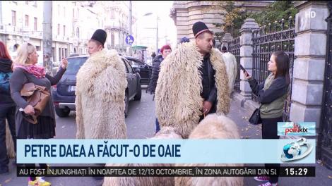 Petre Daea a făcut-o de oaie