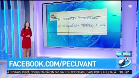 Ana Iorga explică cum se spunem corect ''a minimiza'' sau ''a minimaliza''