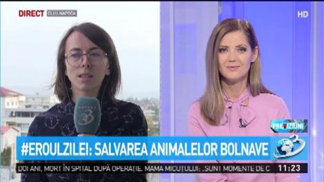 Ioana Ion, t&acirc;năra care salvează animalele bolnave