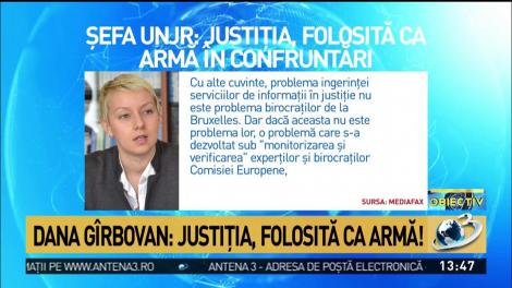 Dana G&icirc;rbovan: Justiţia, folosită ca armă!