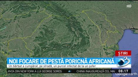 E panică în România. A fost redescoperit VIRUSUL! Autoritățile sunt în alertă!