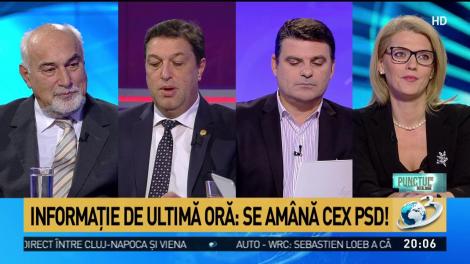 Şerban Nicolae, despre am&acirc;narea CEx PSD