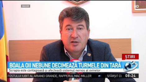 Boala oii nebune decimează turmele din ţară
