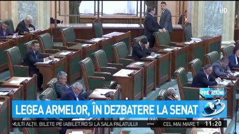 Legea armelor, &icirc;n dezbatere la Senat