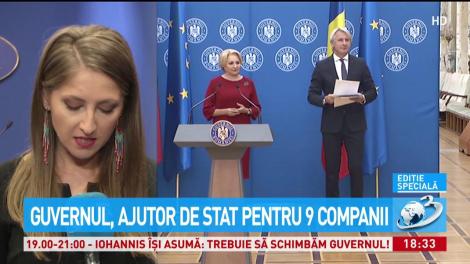 Guvernul, ajutor de stat pentru 9 companii