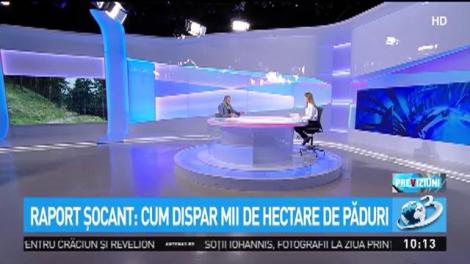 Raport îngrijorător! Mii de hectare de pădure dispar, iar noi nu facem nimic. Reprezentanții Comisiei Europene sunt șocați