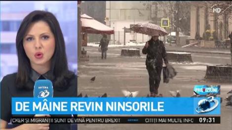 Vremea. De m&acirc;ine revin ninsorile