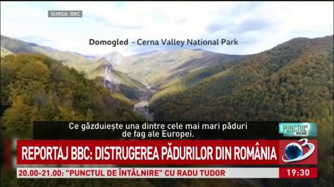 Reportaj BBC: Distrugerea pădurilor din România