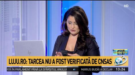 Luju.ro: Cristina Tarcea nu a fost verificată de CNSAS