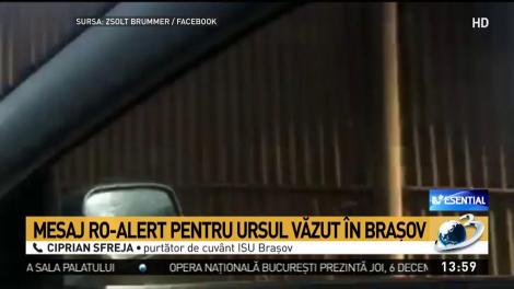 Un urs se plimbă nestingherit pe străzile din Brașov
