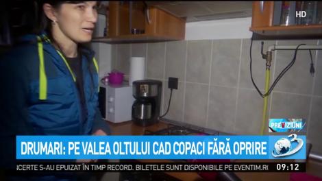 Ninsorile, viscolul şi poleiul fac ravagii &icirc;n ţară