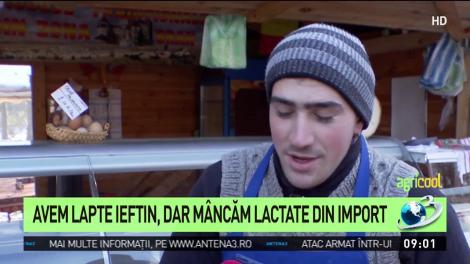 Avem lapte ieftin, dar m&acirc;ncăm lactate din import