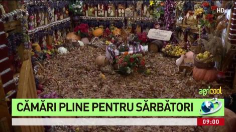 Agricool. Cămara din România în care găsești peste 400 de borcane de murături