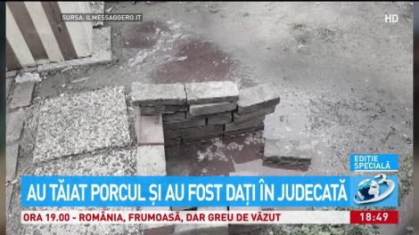 Au tăiat porcul şi au fost daţi în judecată