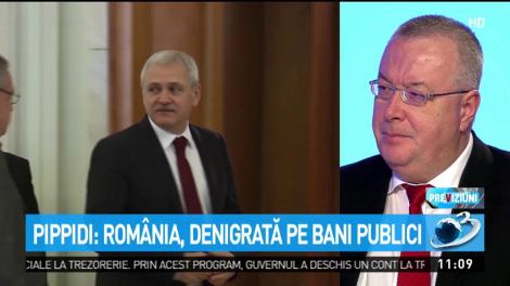 Pippidi: Rom&acirc;nia, denigrată pe bani publici