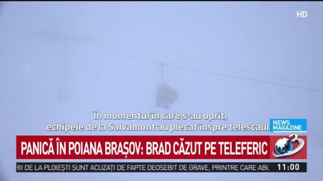 Clipe de panică în Poiana Brașov! Un brad încărcat cu zăpadă a căzut peste instalaţia unui telescaun - VIDEO