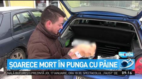 Șoarece mort &icirc;n punga cu p&acirc;ine