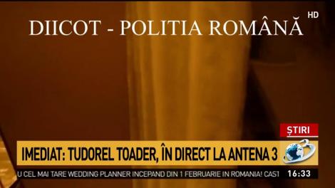 Cultură de canabis descoperită &icirc;ntr-un apartament din Constanţa