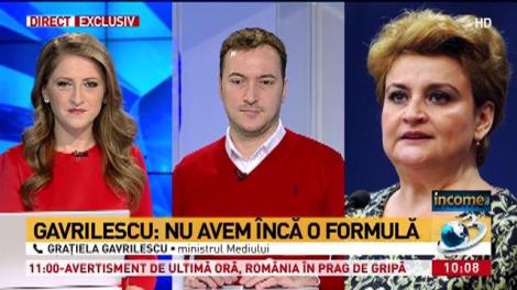 Grațiela Gavrilescu, detalii despre viitoare taxă auto