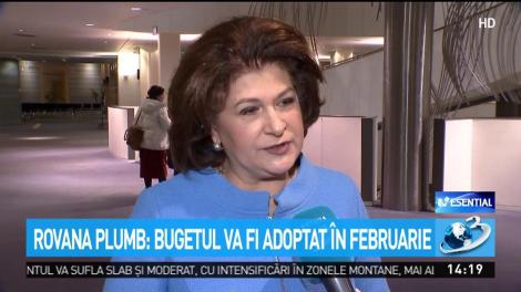Rovana Plumb: Bugetul va fi adoptat în februarie