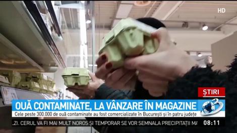 Alertă: Ouă contaminate cu otravă de purici
