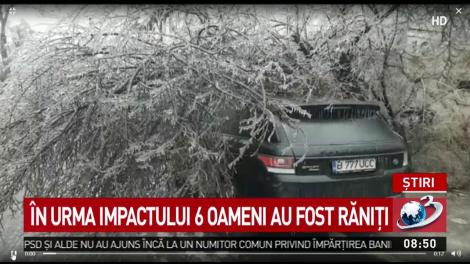 Accident grav pe A 1, unde un copac a căzut pe un microbuz! Sunt mai multe victime!
