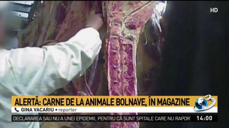 Alertă &icirc;n magazine! Carne de la animale bolnave a ajuns pe rafturi
