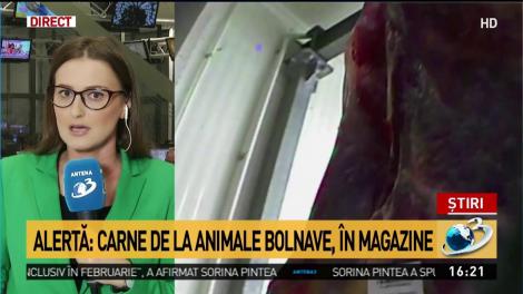 Informaţii noi despre lotul de carne stricată