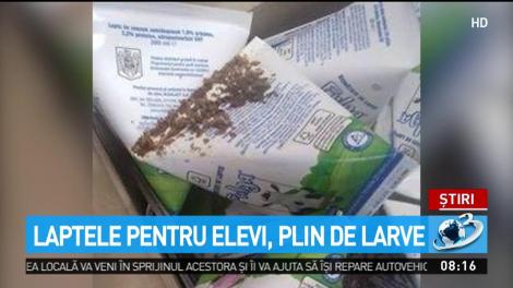 Laptele pentru elevi, plin de larve