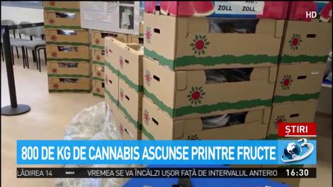 800 de kilograme de cannabis ascunse printre fructe