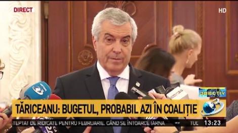 Tăriceanu: Nu am discutat cu Guvernul despre buget