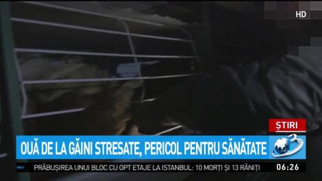 Ouă de la găini stresate, pericol pentru sănătate