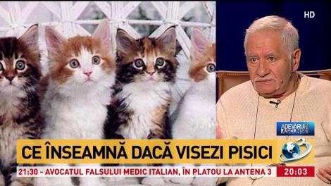 Mihai Voropchievici dezvăluie ce înseamnă dacă visezi pisici; „Cine a visat o pisică neagră”