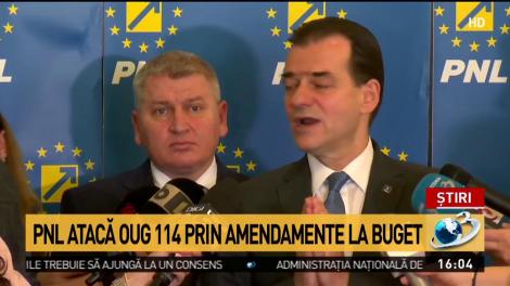 PNL atacă OUG 114 prin amendamente la buget