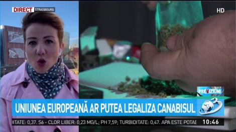 Uniunea Europeană ar putea legaliza canabisul