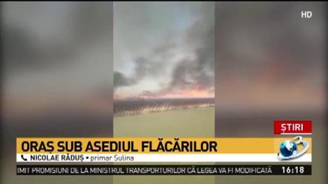 Incendiu de proporții &icirc;n Delta Dunării. Sute de hectare au luat foc