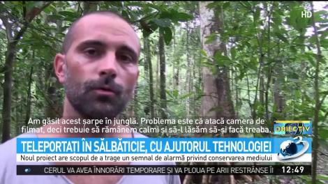 Teleportaţi în sălbăticie, cu ajutorul tehnologiei