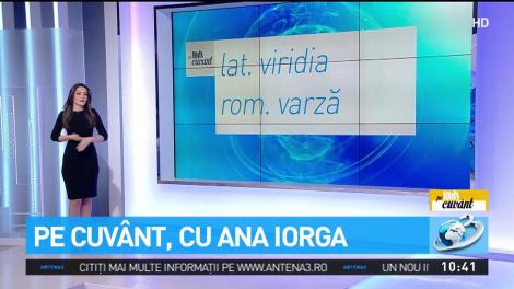 Legătura dintre cuvintele &bdquo;verde&rdquo; şi &bdquo;varză&rdquo;